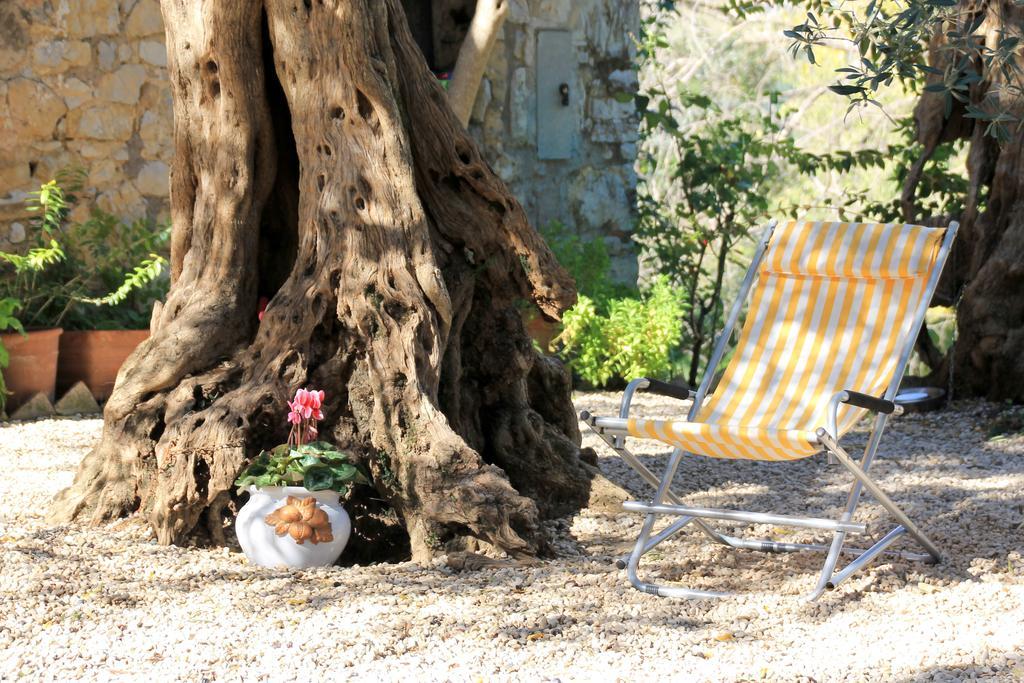 B&B Colle Perrini Country House Casperia ภายนอก รูปภาพ