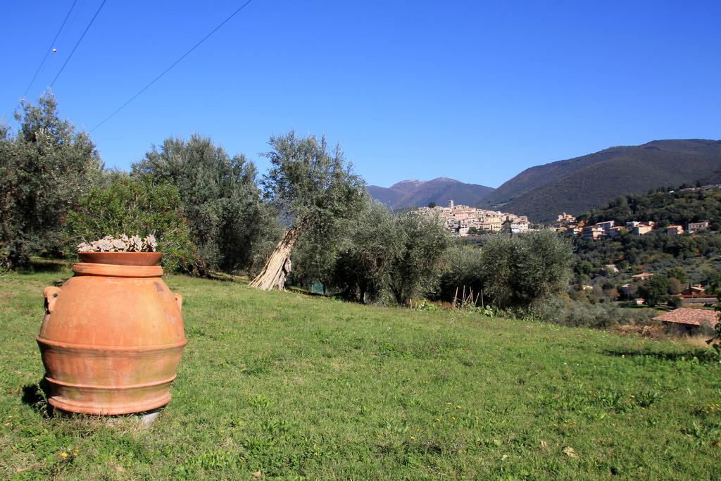 B&B Colle Perrini Country House Casperia ภายนอก รูปภาพ