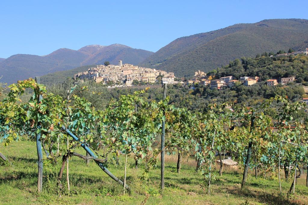 B&B Colle Perrini Country House Casperia ภายนอก รูปภาพ